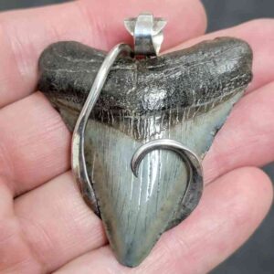 .925 Sterling Silver Hook Wrapped Megalodon Shark Tooth Necklace/Pendant - #5
