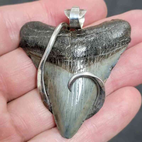 .925 Sterling Silver Hook Wrapped Megalodon Shark Tooth Necklace/Pendant - #5
