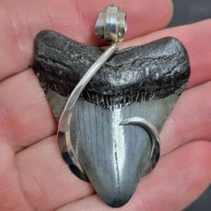 .925 Sterling Silver Hook Wrapped Megalodon Shark Tooth Necklace/Pendant - #6