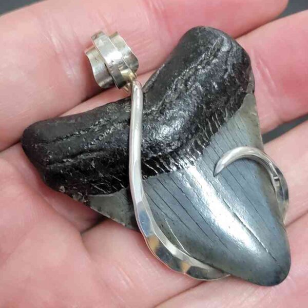 .925 Sterling Silver Hook Wrapped Megalodon Shark Tooth Necklace/Pendant - #6 - Image 2