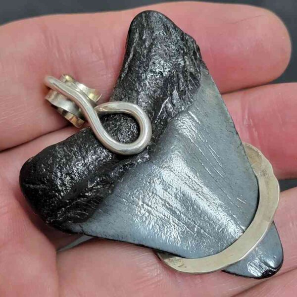 .925 Sterling Silver Hook Wrapped Megalodon Shark Tooth Necklace/Pendant - #6 - Image 3