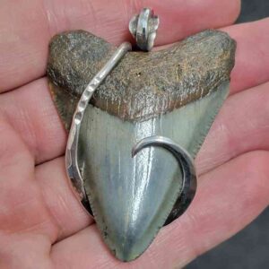 .925 Sterling Silver Hook Wrapped Megalodon Shark Tooth Necklace/Pendant - #7