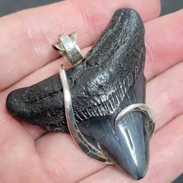 .925 Sterling Silver Hook Wrapped Megalodon Shark Tooth Necklace/Pendant - #9 - Image 2