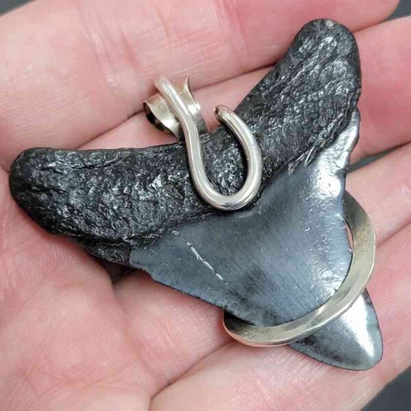 .925 Sterling Silver Hook Wrapped Megalodon Shark Tooth Necklace/Pendant - #9 - Image 3