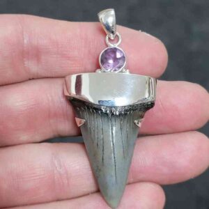 1 5/8" . 925 Sterling Silver Capped Extinct Great White Shark Teeth Pendant #15