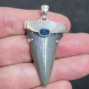 1 7/8" . 925 Sterling Silver Capped Extinct Great White Shark Teeth Pendant #17