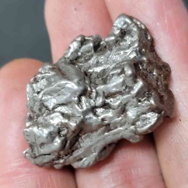 Campo del Cielo Meteorite - #29