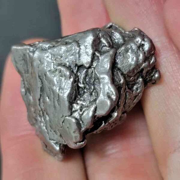 Campo del Cielo Meteorite - #31