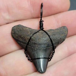 Black Wire Wrapped Megalodon Tooth Necklace Pendant - MEGNECKCOM12