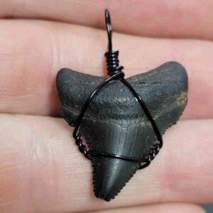 Black Wire Wrapped Megalodon Tooth Necklace Pendant - MEGNECKCOM14