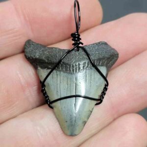 Black Wire Wrapped Megalodon Tooth Necklace Pendant - MEGNECKCOM15
