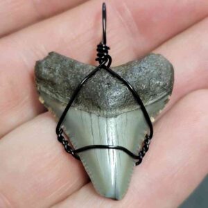 Black Wire Wrapped Megalodon Tooth Necklace Pendant - MEGNECKCOM18