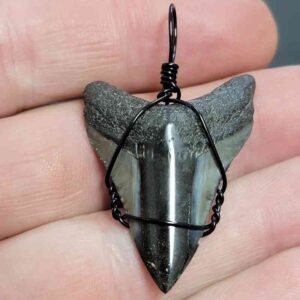 Black Wire Wrapped Megalodon Tooth Necklace Pendant - MEGNECKCOM2