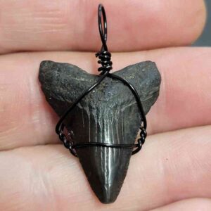 Black Wire Wrapped Megalodon Tooth Necklace Pendant - MEGNECKCOM24