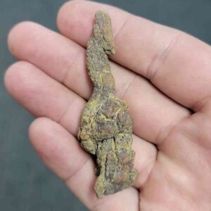 Turlte Coprolite - TurtleCop-01