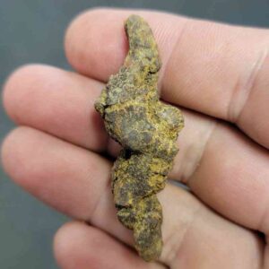 Turlte Coprolite - TurtleCop-02