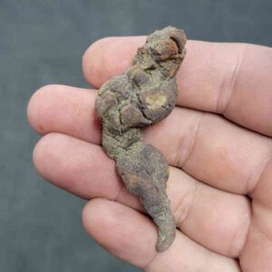 Turlte Coprolite - TurtleCop-03