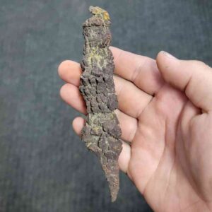 Turlte Coprolite - TurtleCop-14