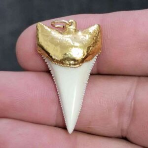 18ct Gold Plated Modern Great White Shark Tooth - modgldgw-1