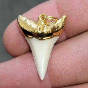 18ct Gold Plated Modern Great White Shark Tooth - modgldgw-2