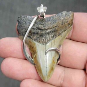 Fossil .925 Sterling Silver Hook Wrapped Megalodon Shark Tooth Necklace Pendant - #10