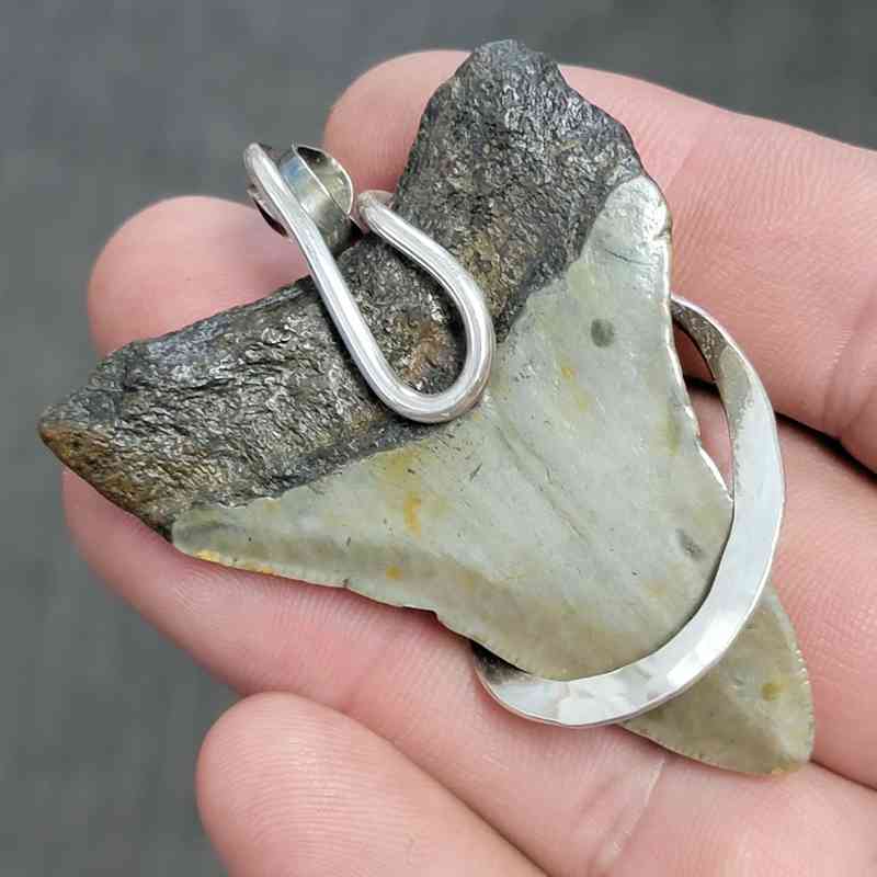 Fossil .925 Sterling Silver Hook Wrapped Megalodon Shark Tooth Necklace Pendant - #10 - Image 3